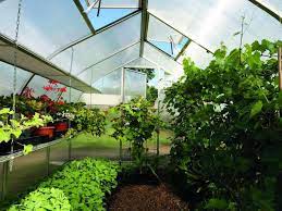 Maximize Your Growing Space with a Steel-Framed Greenhouse