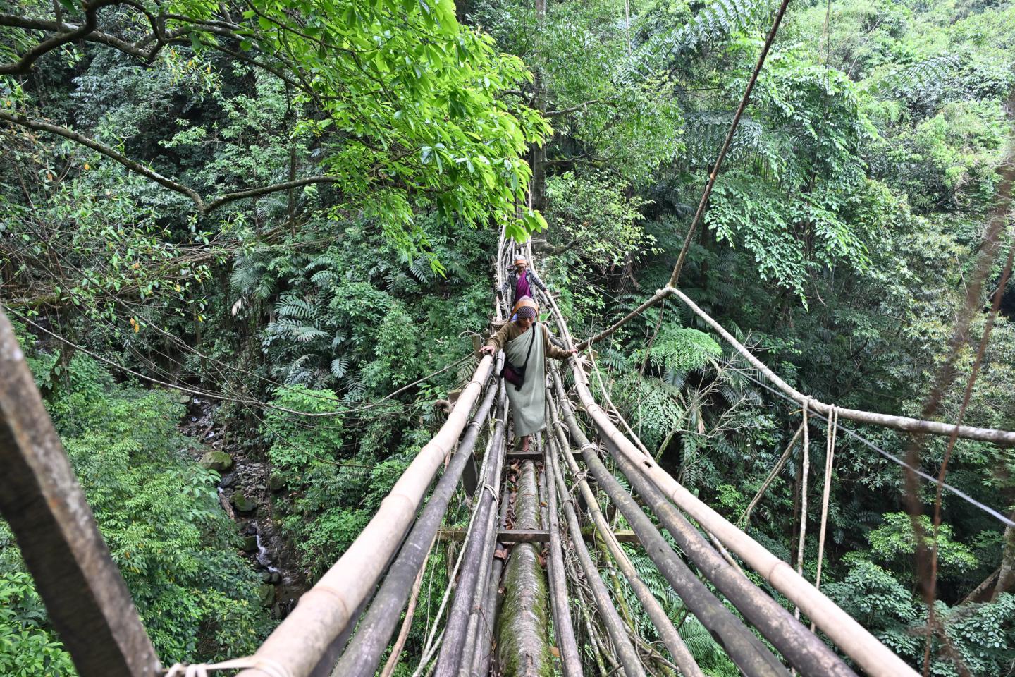 Strong Roots: Family Living and Community in River Valley